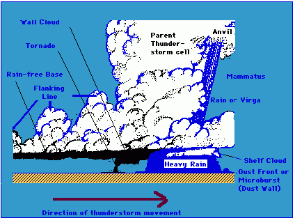 Schematic representation of a mature thunderstorm